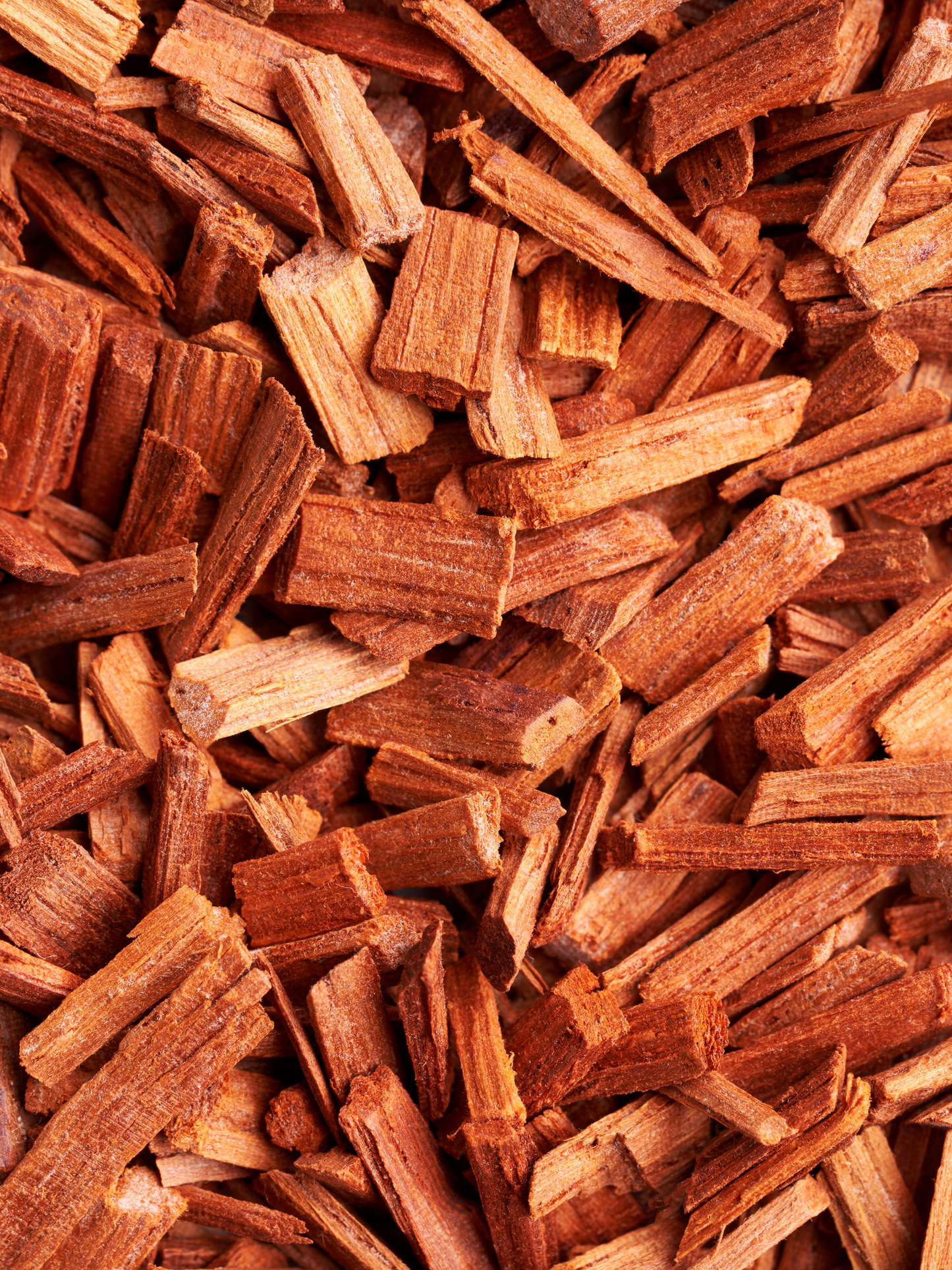 Extrait de parfum Gueule de Bois VERSATILE