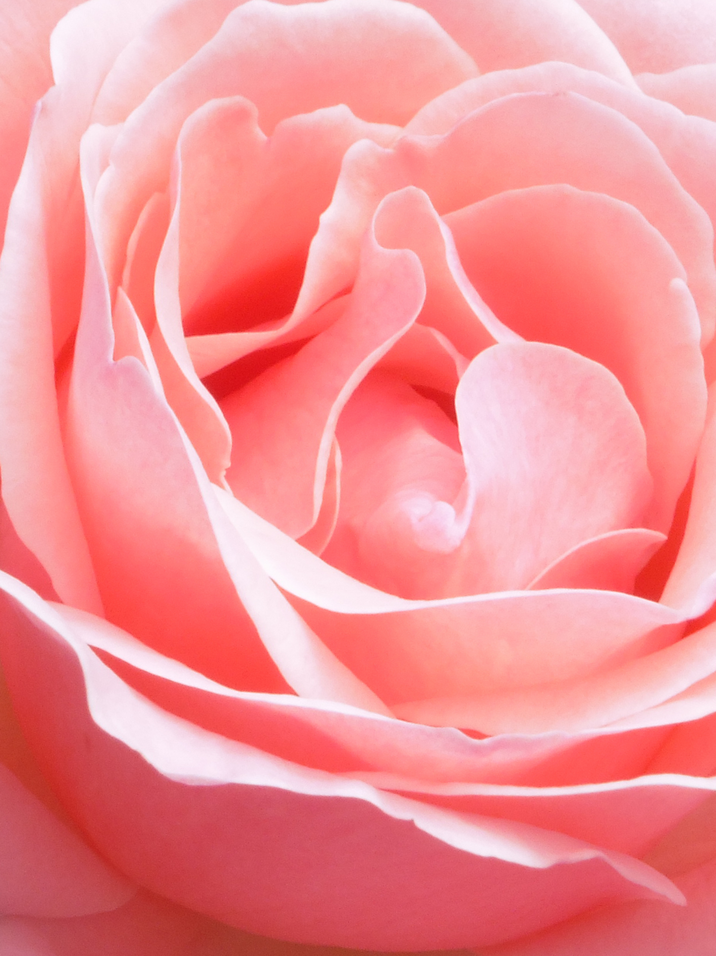 Vaporisateur Roses DIPTYQUE