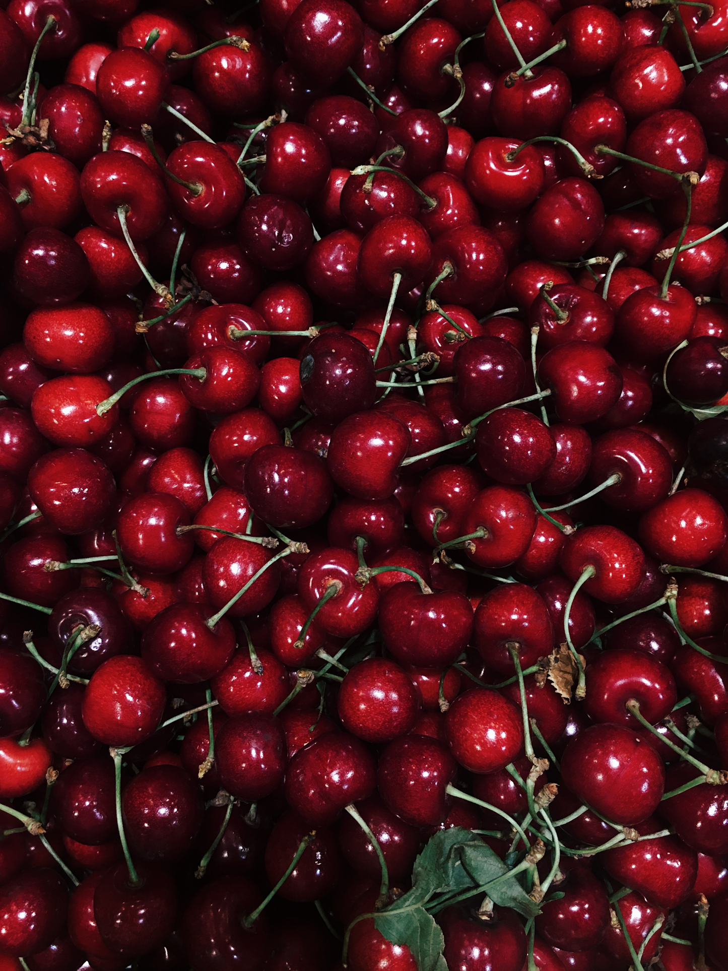 Sérum vitaminé ODEN